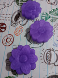 Natur Flower Garden: Happy Lavander