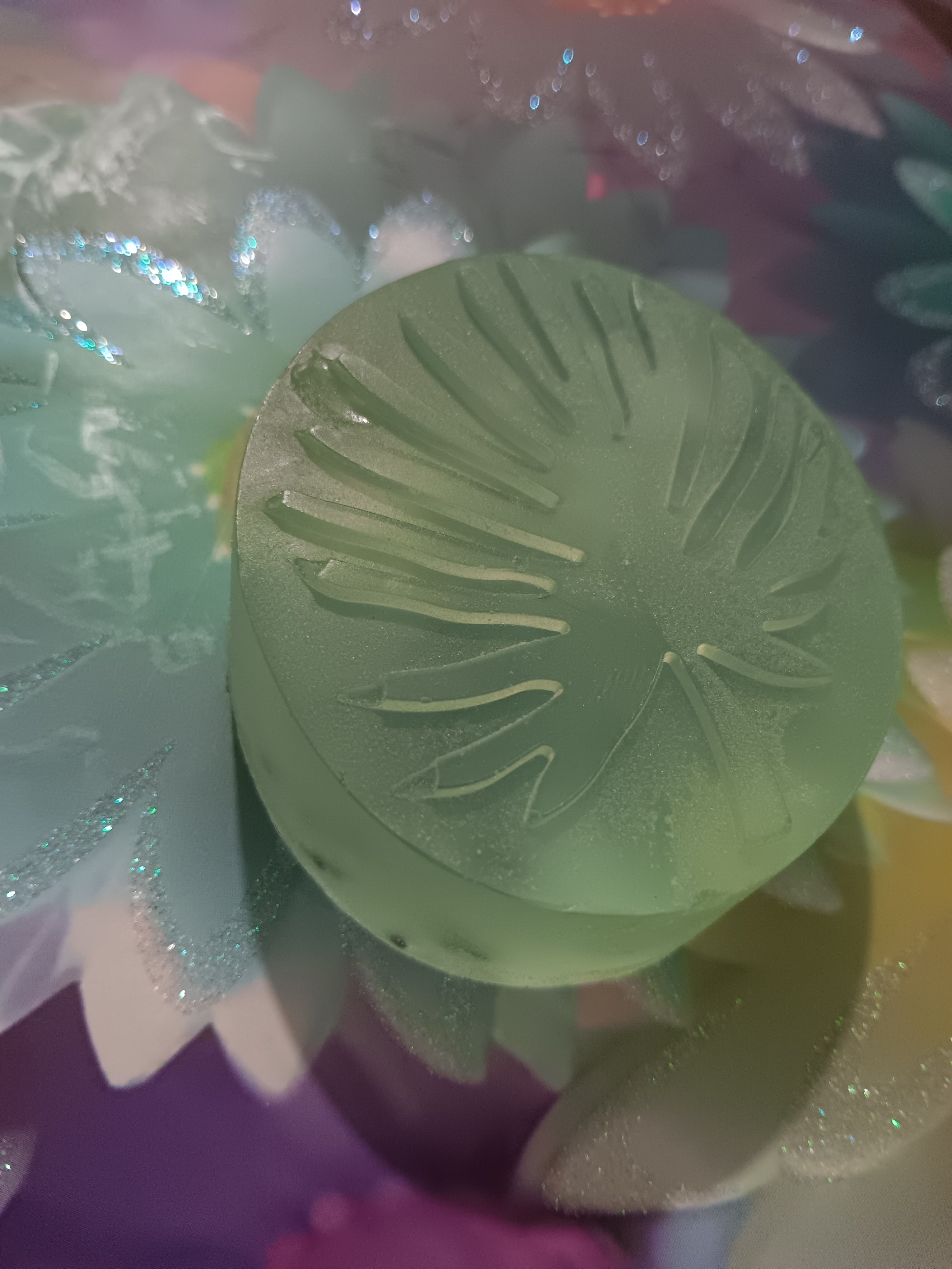 "El Yunque" Aloe Vera & Avocado + Cucumber - Melon 🥒 🍈