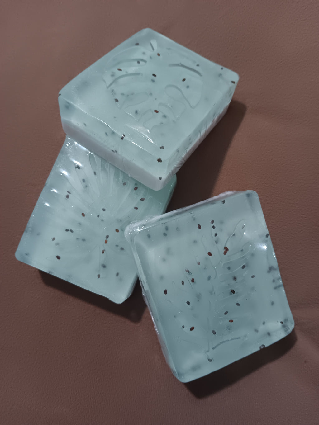 Aloe Vera- Cucumber  Melon & Goat Milk Coconut, with floating Chia Seeds